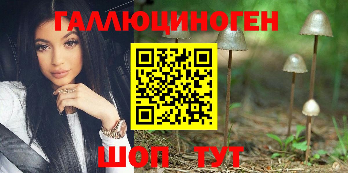 Псилоцибиновые грибы MAGIC MUSHROOMS Курчалой